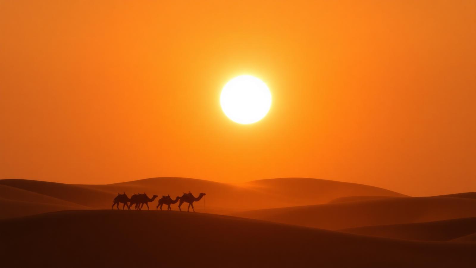 The Sahara falls silent
